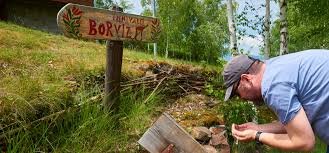 Borvízkóstolás