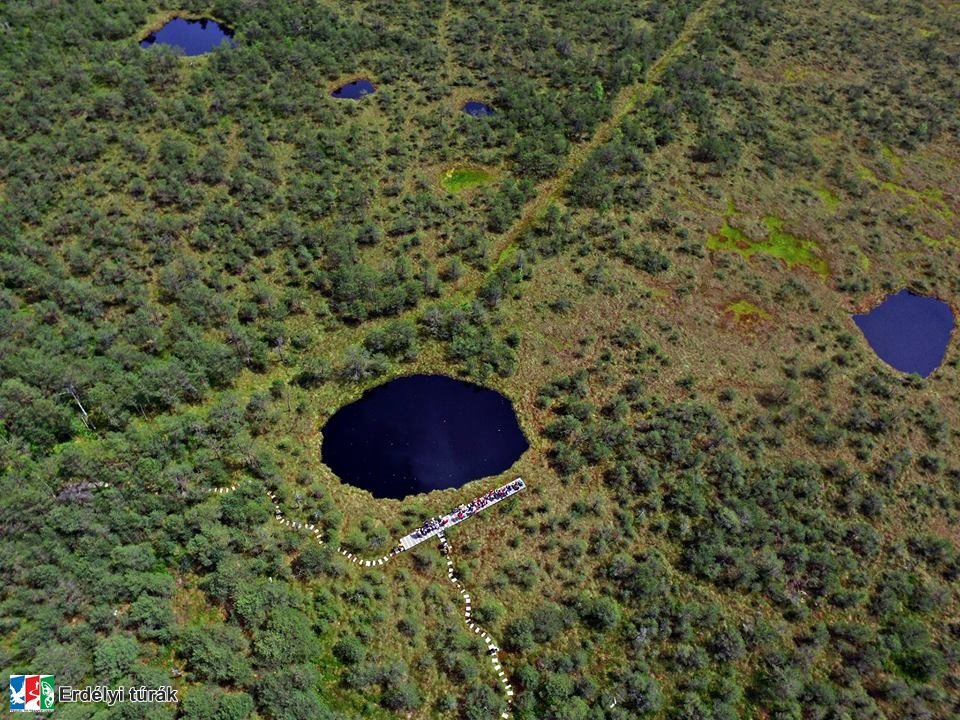 Mohos-tőzegláp panoráma