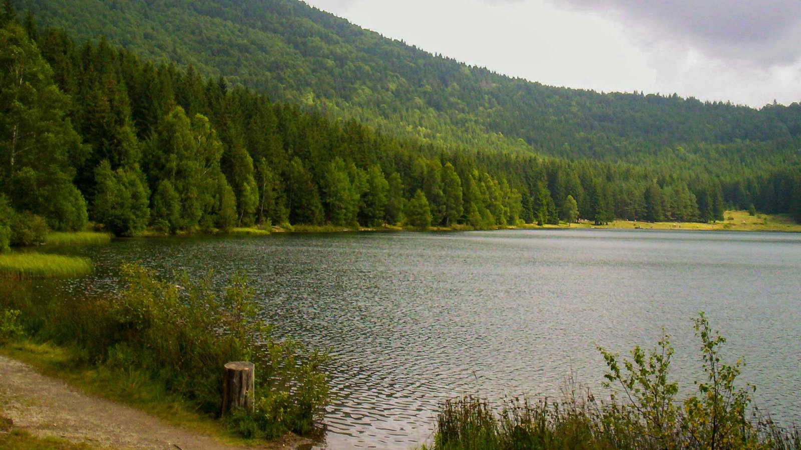 Szent Anna-tó nyár