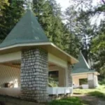 borvizek