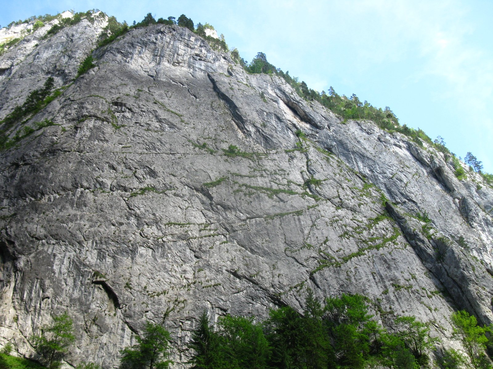 Kalksteinwand aus der Nähe