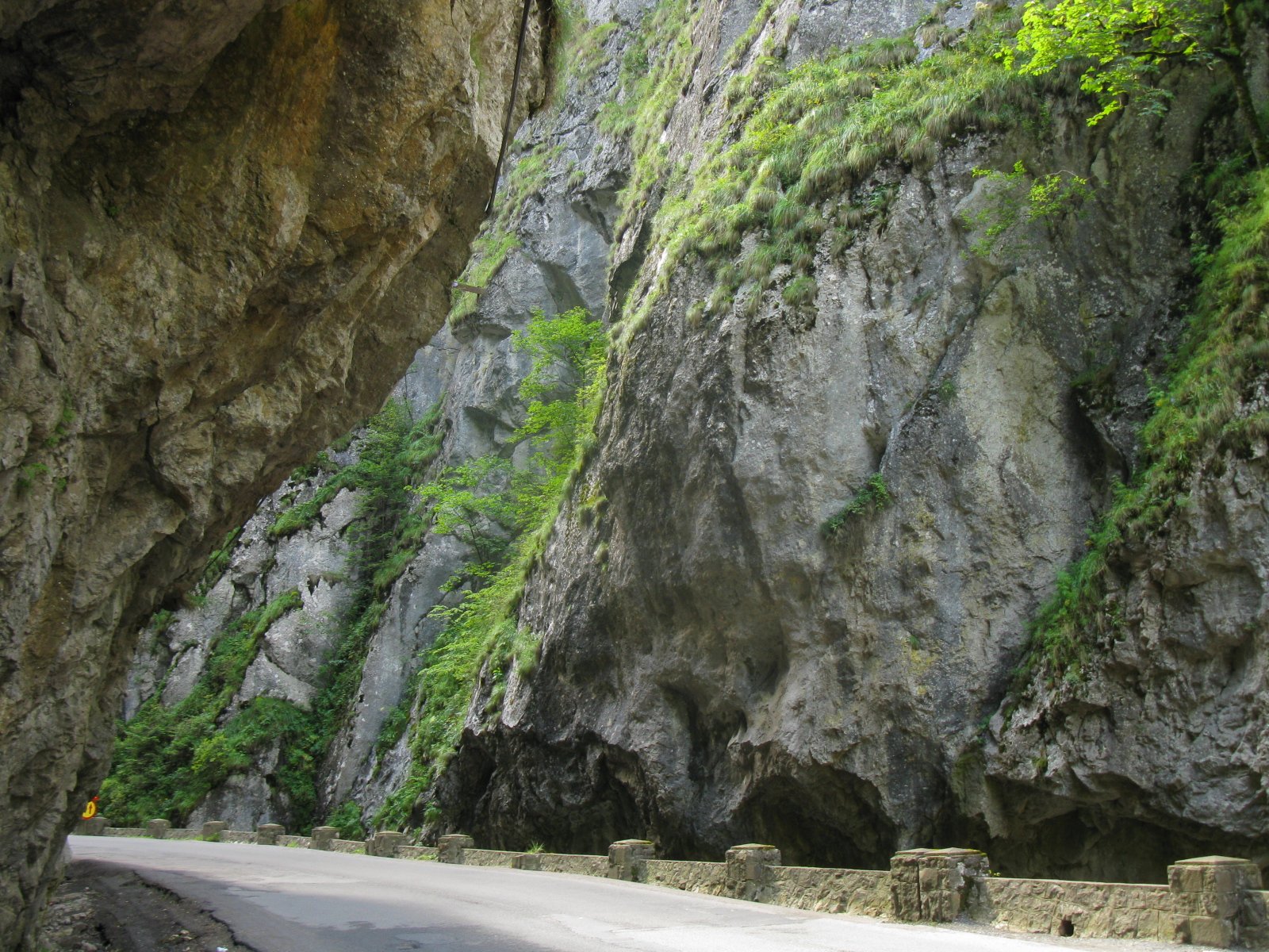 Die Tiefe der Schlucht mit Fichtenwäldern und Kalkstein