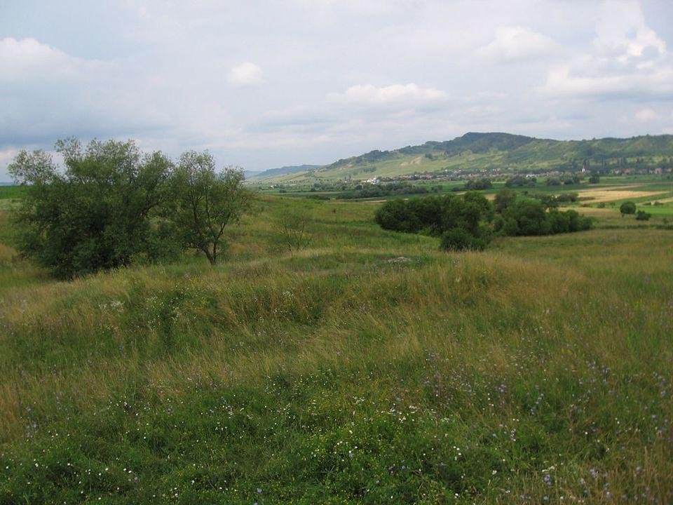 A Fehérszék