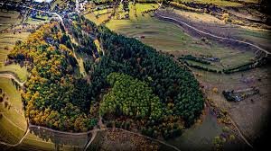 Csíky-kert arborétum